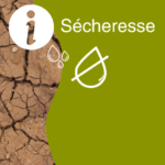 Sécheresse - La zone Seine placée en alerte, le reste des zones toujours en vigilance